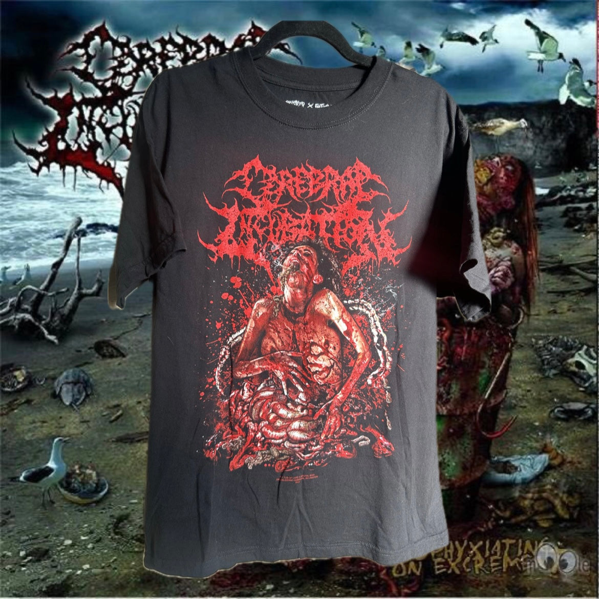 Cerebral Incubation L